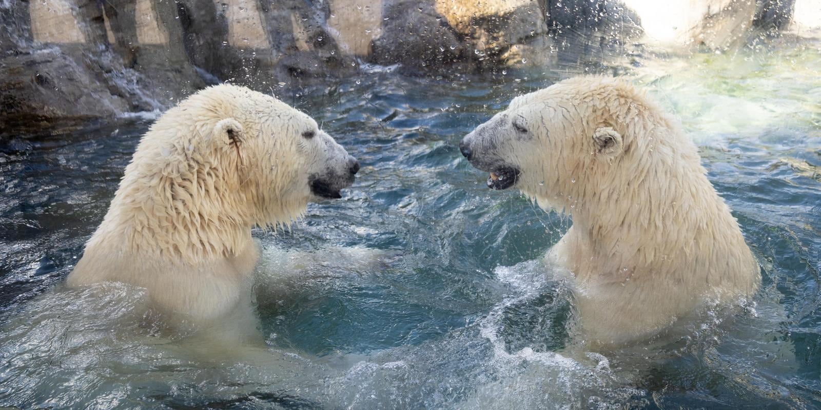 IMG_0363 (1).jpg (284 KB)